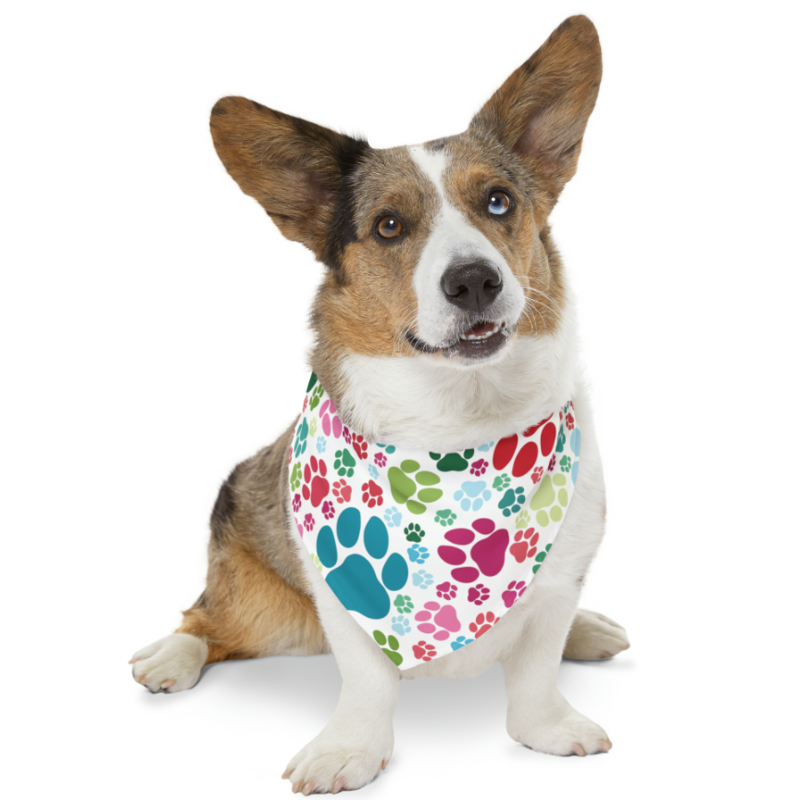 Pet Bandana Collar in choice of 8 color combos Fastens like a collar with a black buckle 4 sizes available